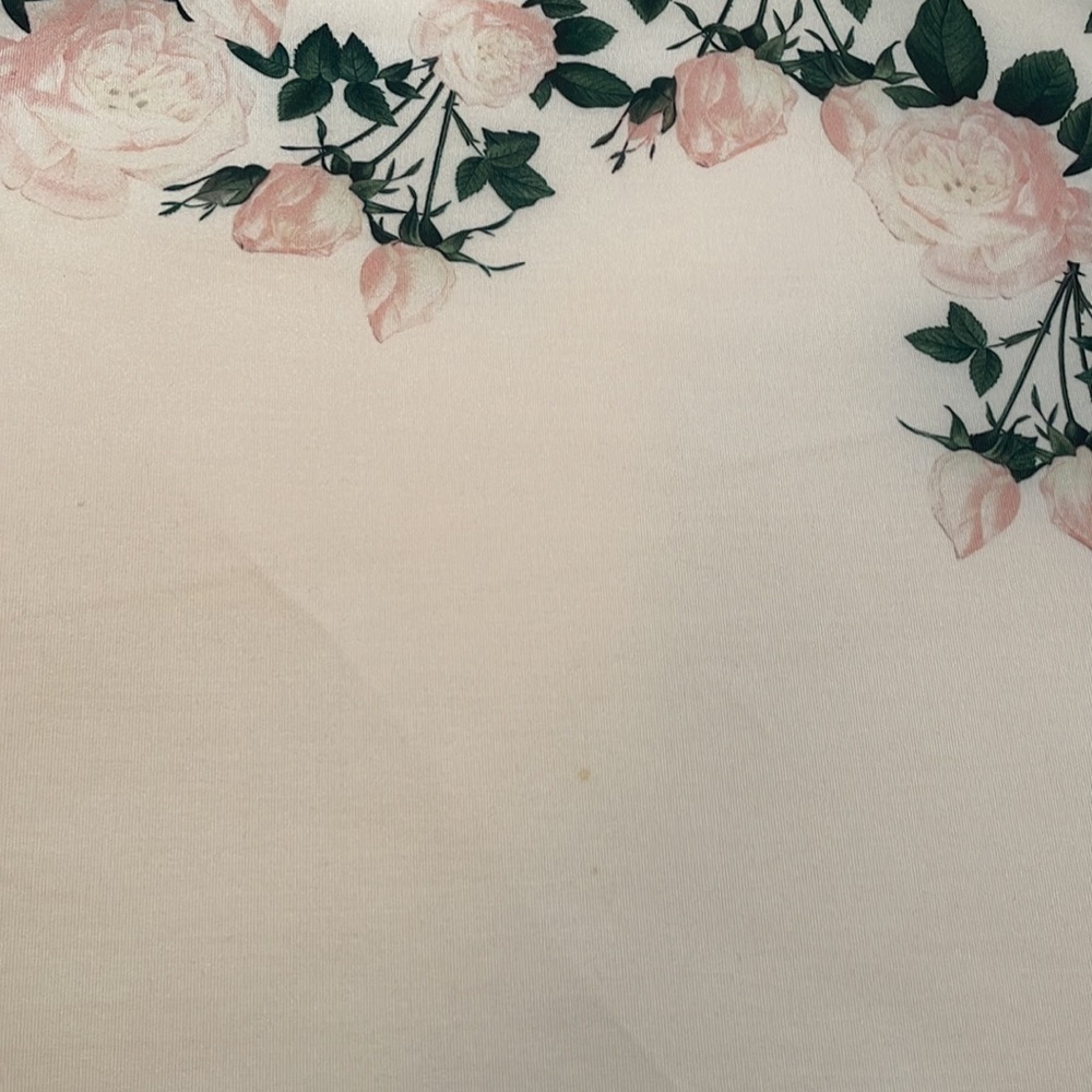 Anthropologie Erin Fetherston Sweetheart Roses Skirt Size 8 - Picture 7 of 11
